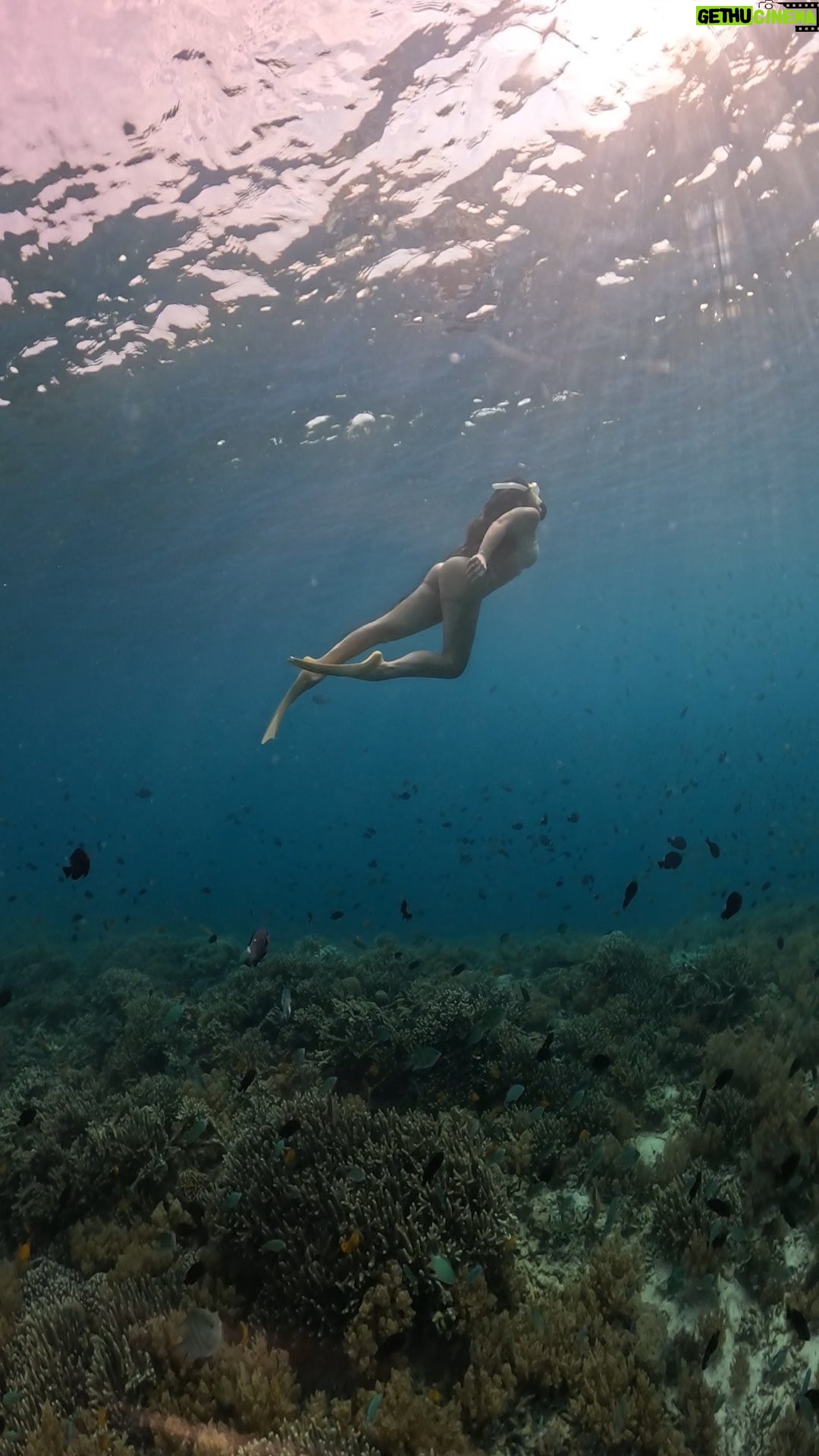 Molie Pasqualini - 247 Likes - Juste waw 😍 oui vous ne rêvez pas la petite sirène it’s me 🧜‍♀️🤣

#bali #snorkeling #gilitrawanganisland