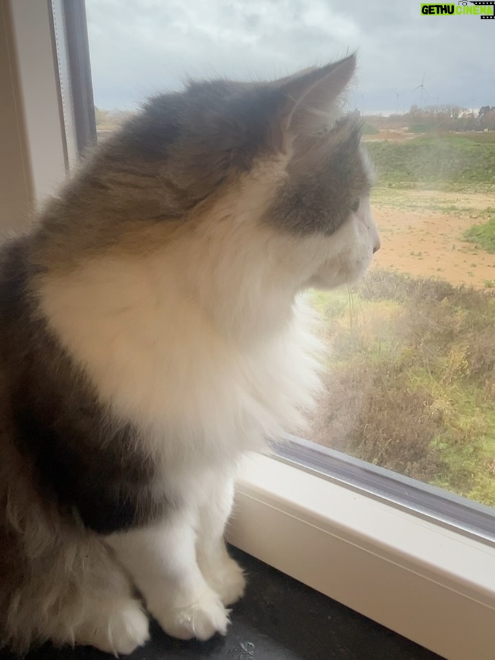Molie Pasqualini - 241 Likes - Dernière semaine avant le sun ☀️ 

1. Mon éra de star finalement 
2. Pas besoin de grand chose pour être heureux 🍕 
3. Pablo ma bataille remet sa vie en question. 🐱 
4. Hôtel @vandervalk_hotel_nivelles_sud pour faire plaisir à ma sœur ❤️
5 & 6. Sortie de l’année pour faire plaisir aux copines.
7. Mes bento cakes de chez @ti_cake__ 🎂 
8 & 9. Mes copines ❤️
10. Let’s Go Bali ☀️