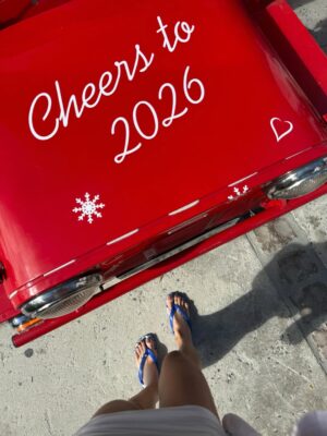 Monique Alfradique Instagram - cheers to 2026 ✨🙏🤍