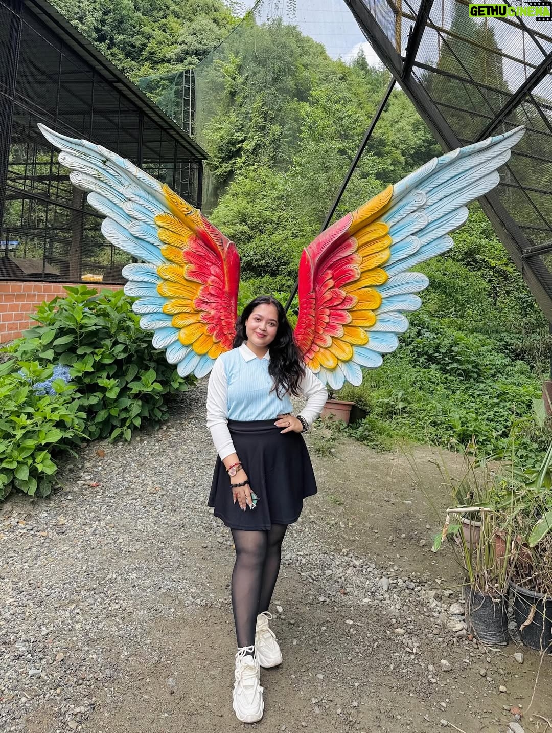Moumita Tiya Mukherjee - 397 Likes - 🧿💙