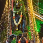 N S Manasa Gowda