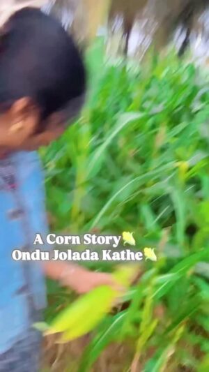 N S Manasa Gowda Instagram - Ondu jolada kathe✨☺️

#nsmanasagowda_official_ 
#tag #raitha #mandya #nature #viral #reelkaro #share #reelkarofeelkaro #love #viralreels #insta #support #followmefollowyou #instalove