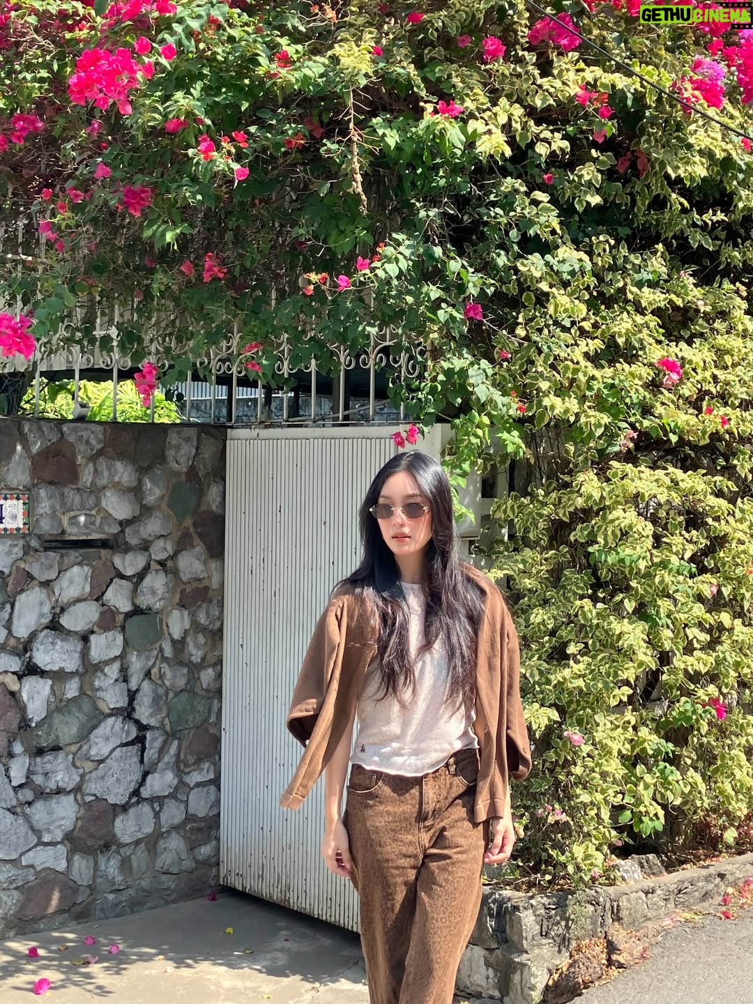 Nachcha Chuedang - 16.6K Likes - @vogueeyewear #VogueEyewear