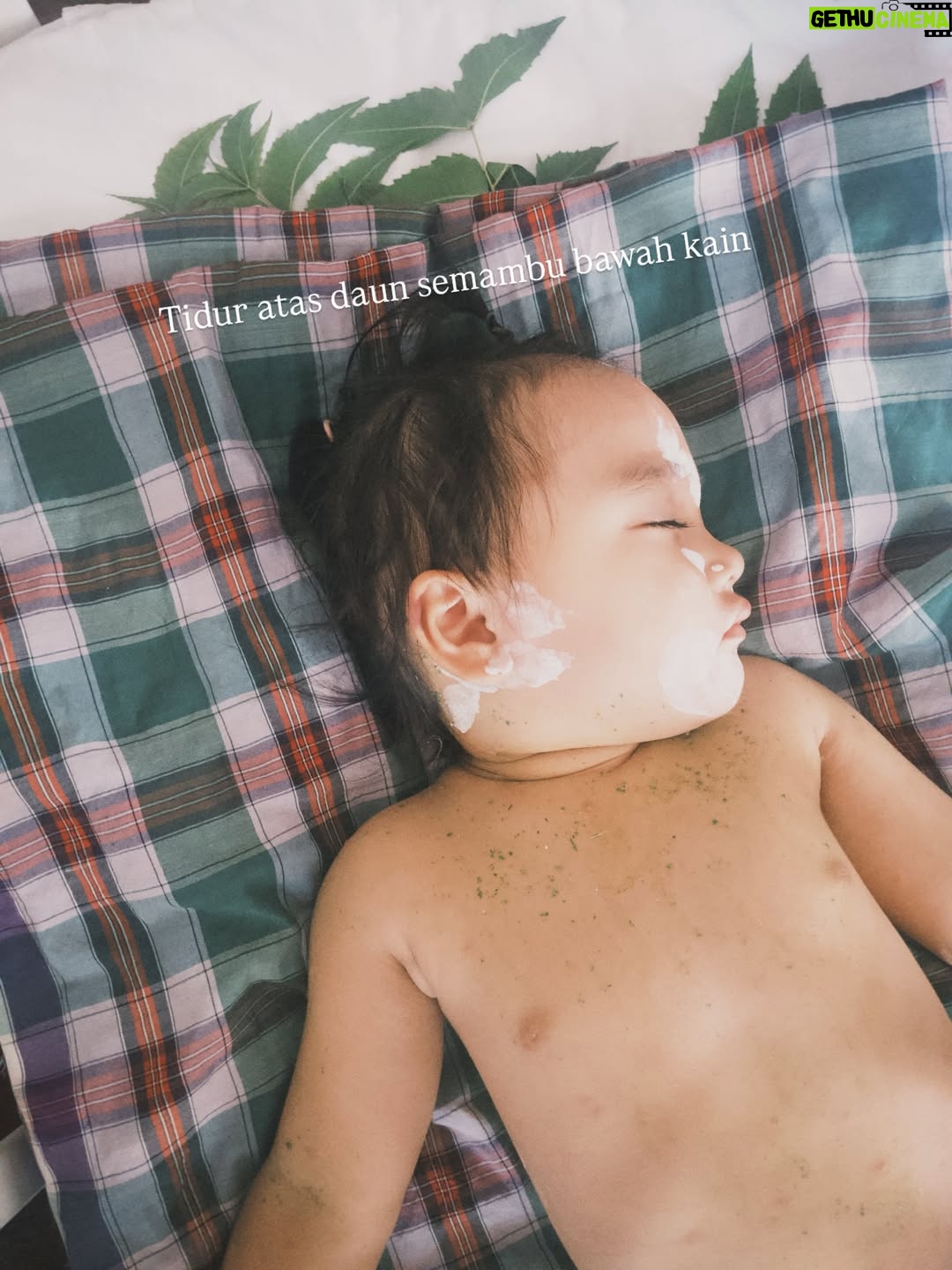 Nadia Aqilah - 867 Likes - Bayu’s chicken pox diaries and my new found love for daun semambu 🥹 Pertama kali jaga orang chicken pox (sama je perangai tak macam sakit pun 😂) but grateful this happens when I’m on my year end break 🥹 

Dah it’s a wrap for Bayu’s chicken pox. 5 days yang macam tabib 😂 Senja pulak some day eh 😌 Take care everyone xxx