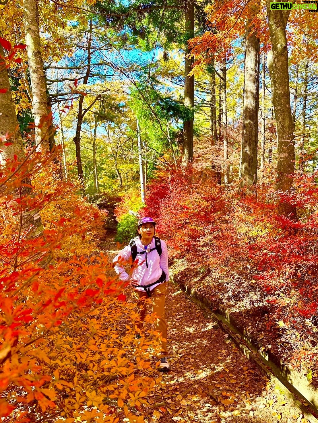 Nao Minamisawa - 2.7K Likes - 今日の#そこに山があるから 🗻

山梨県の河口湖の近くにある#天上山 へ行ってきました！
もう、紅葉真っ盛り🍁
そして何より富士山を眼前に望み、大感動です。
今年の総決算となる登山になったのではないかと思います。

BS朝日で今夜10時30分から📺
TVerでも！

ぜひご覧ください！

@sokoyama_bsa @mammut_japan