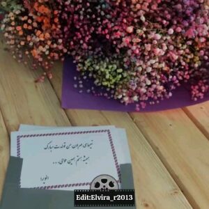 Nasrin Moghanloo Instagram - الویرای عزیزم
ممنون از کلیپ زیبایت نازنینم
سپاس که به فکرم بودی .