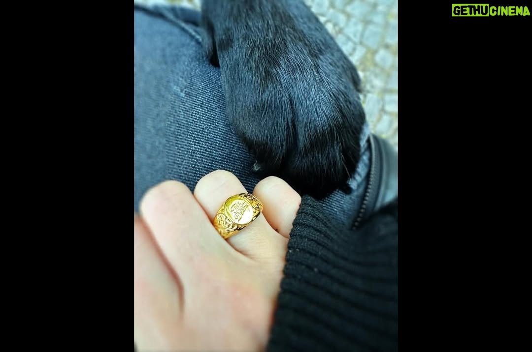 Nastassja Strobel - 7.7K Likes - 2025 fast vorbei \o/
Und Pro-Tipp von meiner Seite: manchmal muss man nur durch die eigenen Fotos gehen um zu sehen wie toll das Jahr doch war.
Bin dankbar für viele Dinge, die ich dieses Jahr erleben und lernen durfte, aber am aller meisten für meine Freunde 
Und wie ein weiser Mann einst sagte: „Family don’t end in blood.“ But it doesn’t start there, either. Family cares about you, not what you can do for them. Family’s there through the good, the bad-all of it. They got your back, even when it hurts. That’s family.