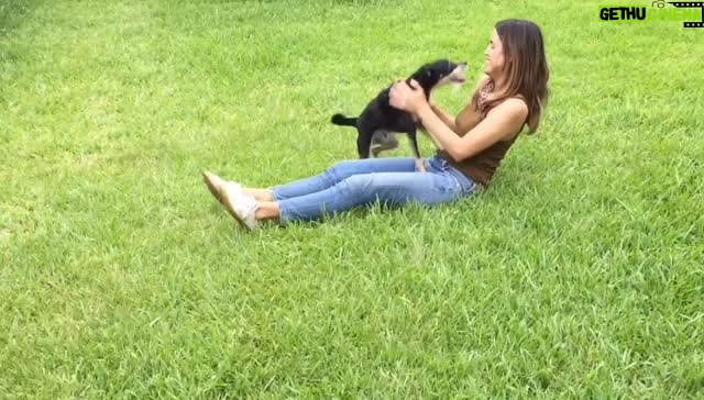 Natalie Morales - 6.7K Likes - Taco St. James is somehow no longer with us. It doesn’t make sense that he wasn’t immortal, but I guess that’s literally life. My heart is too crushed to reduce his impact to an instagram carousel, but here is a video of when I saw him again after we were separated for 7 months in 2020. I can only hope that rainbow bridge is real and this will be what it will be like to see him again. Thank you for your well wishes for him throughout the years, they were so appreciated. And if you’re even thinking about adopting a pet DO IT. It will change your life in so many beautiful ways. 
Goodbye for now Taco. I love you so much. Thank you for everything. 

Taco St. James -aka
Taqui
Tiki
Tiki Tac
Stinky
The Stink
The Big Stink 
Sticks
The River Styx
Monster
Baby Boy
Little Man
Ticky St. Jimmy 
Angel Boy

2010-2025