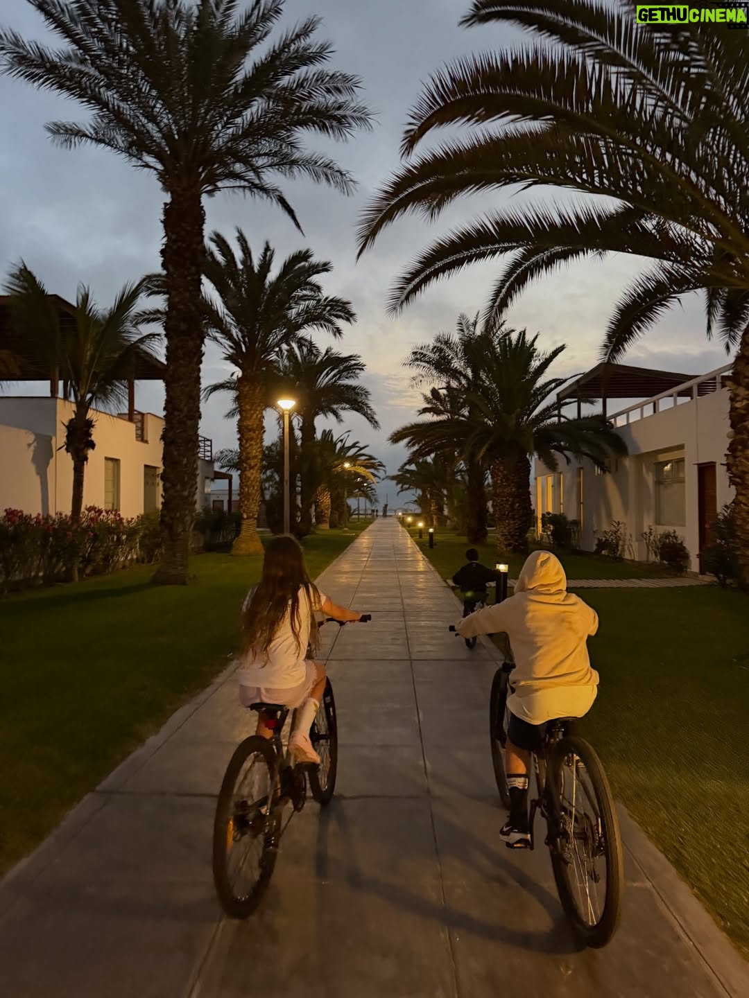 Natalie Vértiz - 40.6K Likes - Que linda que es la vida, te lo digo, mi vida🧡 

Hace tiempo no me tomaba tantos días de relajo con mi familia y, déjenme decirles, que bien se siente! Los atardeceres más lindos, los planes sin apuro, las tardes de caminata y bicicleta, un cafecito por la tarde y un arcoíris 🌈 para recordarme lo mágica que es la vida! A seguir soñando y vibrando alto siempre💫💫💫💫