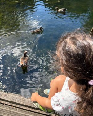 Natasha Khan Instagram - 2025 ⋆°.☾⋆.ೃ࿔*:⋆

Spanish sun ☀️
Feeding the ducks
Brian Eno brings artists and activists together 💎
Curry truck on magnetic island 🏝️
The Virgin Mary has amazing style
Wizard dog
Most played record of 2025
Little bro’s 40th, 80s themed of course
Friends and masks in Sussex
Mixing the Harp Visions record with T J Allen 🪉
🦇