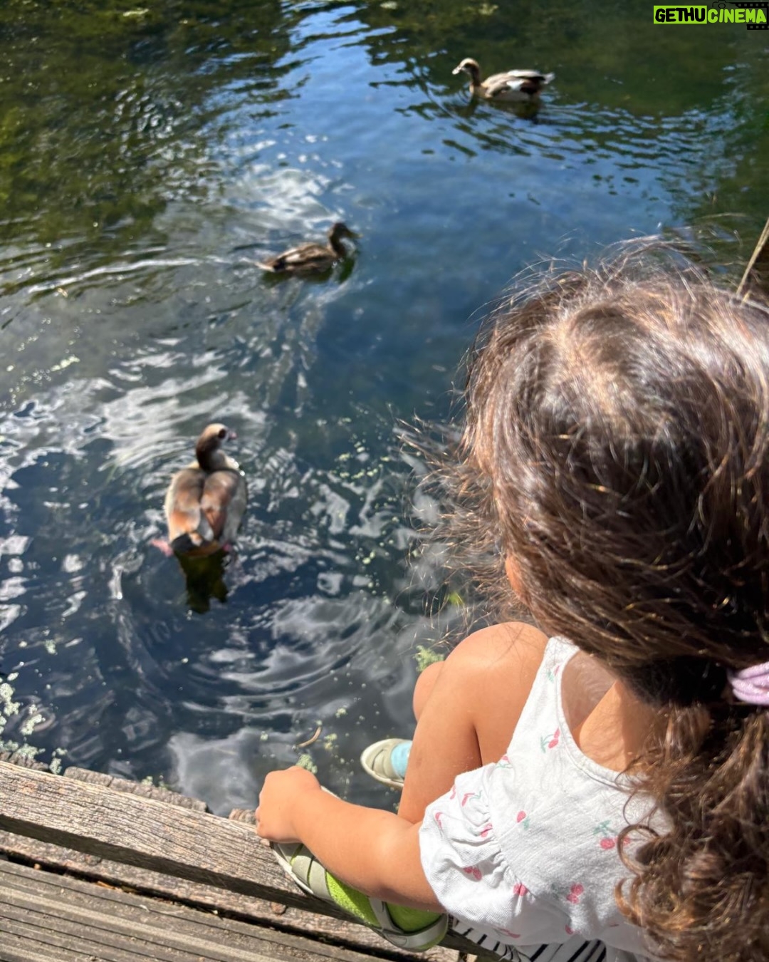 Natasha Khan - 2.5K Likes - 2025 ⋆°.☾⋆.ೃ࿔*:⋆

Spanish sun ☀️
Feeding the ducks
Brian Eno brings artists and activists together 💎
Curry truck on magnetic island 🏝️
The Virgin Mary has amazing style
Wizard dog
Most played record of 2025
Little bro’s 40th, 80s themed of course
Friends and masks in Sussex
Mixing the Harp Visions record with T J Allen 🪉
🦇