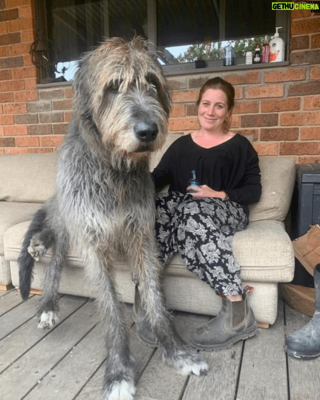 Natasha Khan - 2.5K Likes - 2025 ⋆°.☾⋆.ೃ࿔*:⋆

Spanish sun ☀️
Feeding the ducks
Brian Eno brings artists and activists together 💎
Curry truck on magnetic island 🏝️
The Virgin Mary has amazing style
Wizard dog
Most played record of 2025
Little bro’s 40th, 80s themed of course
Friends and masks in Sussex
Mixing the Harp Visions record with T J Allen 🪉
🦇