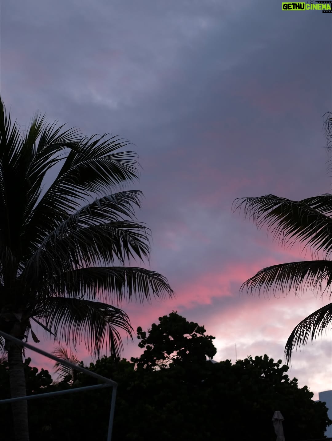 Navpreet Banga - 4.5K Likes - a new chapter begins 🌴 📸