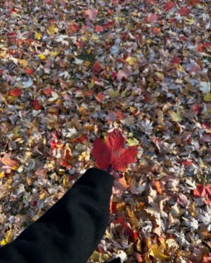 Neha Jethwani Instagram - Autumn dump🍂