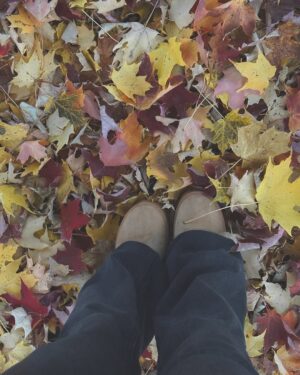 Neha Jethwani Instagram - Autumn dump🍂