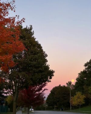 Neha Jethwani Instagram - Autumn dump🍂