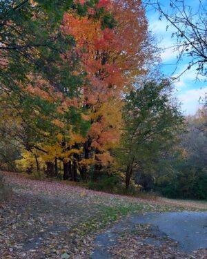 Neha Jethwani Instagram - Autumn dump🍂