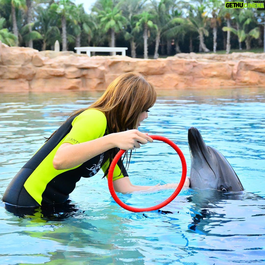 Nelydia Senrose - 140.9K Likes - I will keep this everlasting memory with the dolphin in my heart. I am glad that they are in fortunate hands. ♥️
#MyDubai #DolphinBay 
@visit.dubai 
@atlantisthepalm