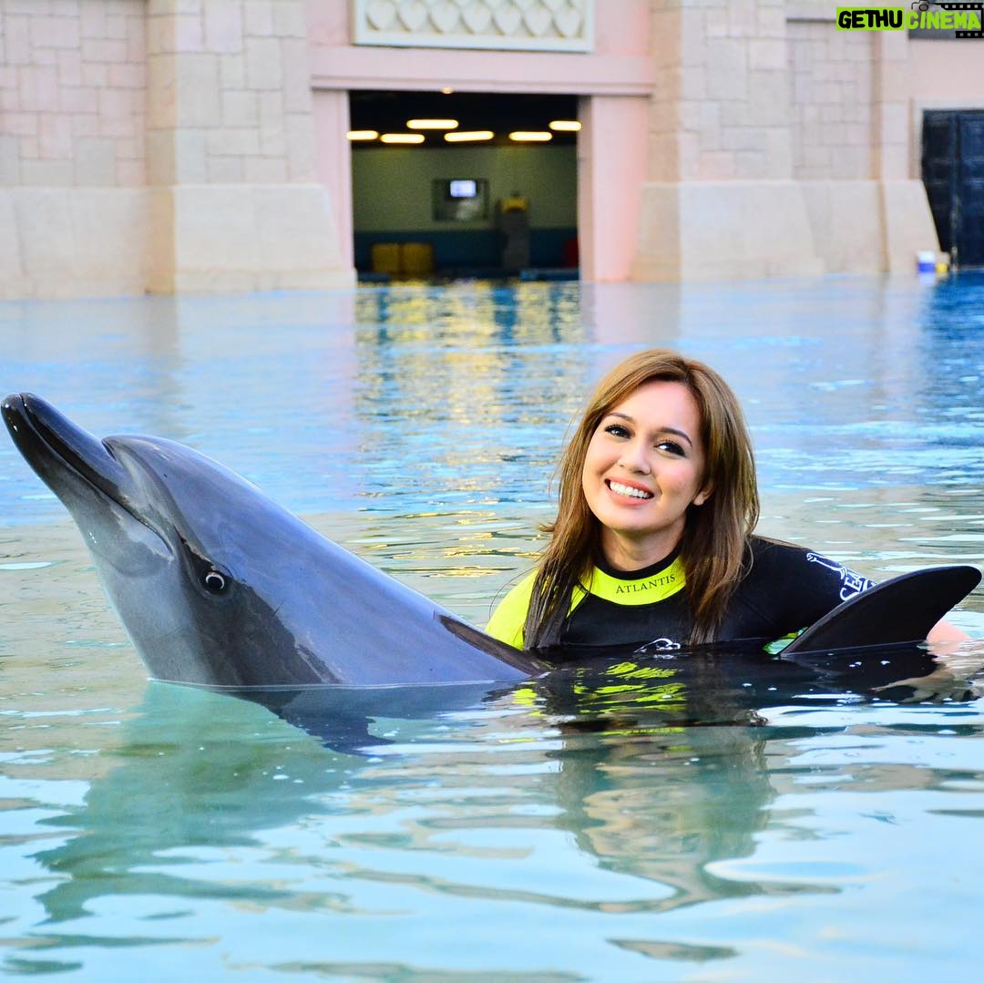 Nelydia Senrose - 140.9K Likes - I will keep this everlasting memory with the dolphin in my heart. I am glad that they are in fortunate hands. ♥️
#MyDubai #DolphinBay 
@visit.dubai 
@atlantisthepalm