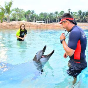 Nelydia Senrose Instagram - I will keep this everlasting memory with the dolphin in my heart. I am glad that they are in fortunate hands. ♥️
#MyDubai #DolphinBay
@visit.dubai
@atlantisthepalm