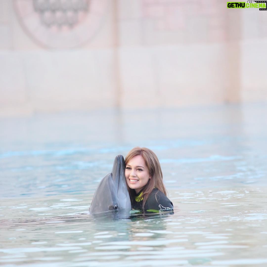 Nelydia Senrose - 140.9K Likes - I will keep this everlasting memory with the dolphin in my heart. I am glad that they are in fortunate hands. ♥️
#MyDubai #DolphinBay 
@visit.dubai 
@atlantisthepalm