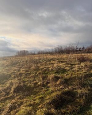 Nicola Sturgeon Instagram - Winter walk on last day of 2025. 

Feeling reflective (and looking a bit weather beaten!). Next year heralds a big transition for me as I will leave the Scottish Parliament after 27 years as an MSP. However, the inevitable sadness of that moment is more than balanced by a feeling of certainty that the time is right and eager anticipation for all that lies ahead.

Happy Hogmanay to everyone - and best wishes for 2026!
