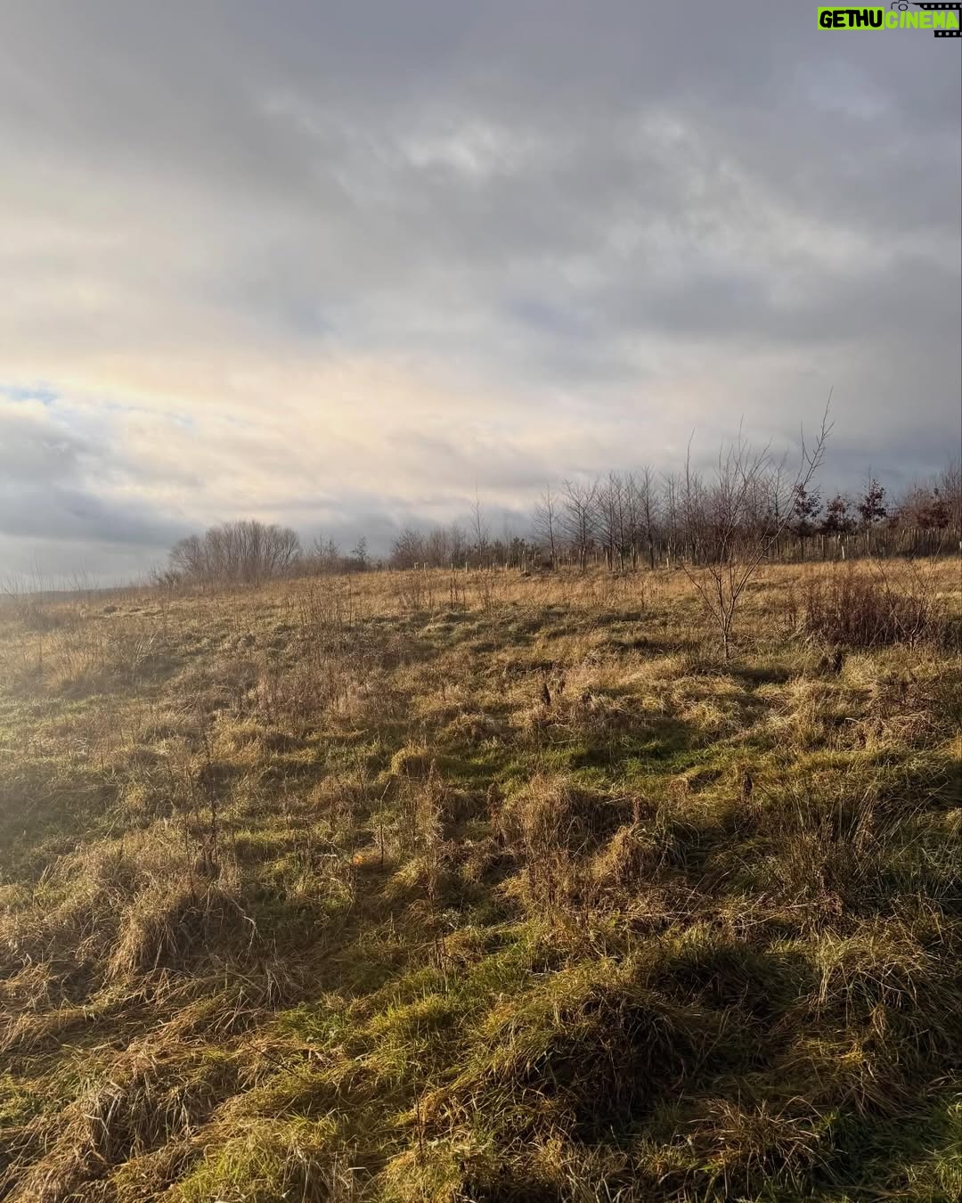 Nicola Sturgeon - 6.8K Likes - Winter walk on last day of 2025. 

Feeling reflective (and looking a bit weather beaten!). Next year heralds a big transition for me as I will leave the Scottish Parliament after 27 years as an MSP. However, the inevitable sadness of that moment is more than balanced by a feeling of certainty that the time is right and eager anticipation for all that lies ahead.

Happy Hogmanay to everyone - and best wishes for 2026!