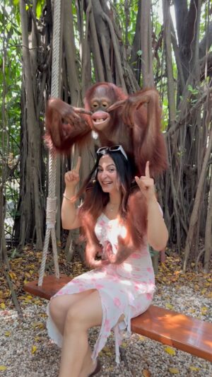 Nidhi Negi Instagram - Ashlil bandar 😂 #bankok #safari