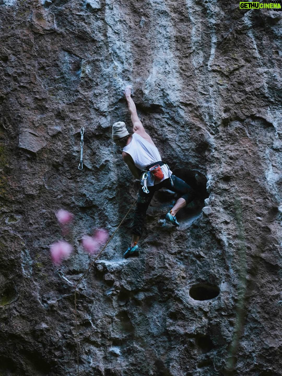 Nina Caprez - 2.4K Likes - @arcteryx is my partner since 16 years. It’s not just a sponsoring, it’s a life share experience.
I was able to attend the @arcteryx climb summit in Mexico. I went with my 10 months old daughter and au paire Alex. I was surrounded by mostly young and hard core climbers. I realized how important my role as a stoke sharer and mentor is.
I climbed as hard as I could after 10 months post partum and it felt great to push. But I also realized how fragile my body still is after 3 pregnancies and 2 births. But climbing today is not just about me; it’s about giving, sharing and transmitting.

A huge thanks to @arcteryx for this amazing crew of humans. 
This climb summit has been one of the greatest ideas of @jonathansiegrist ever had! 💥 

#arcteryx #lovelife 

📸 @bearcam