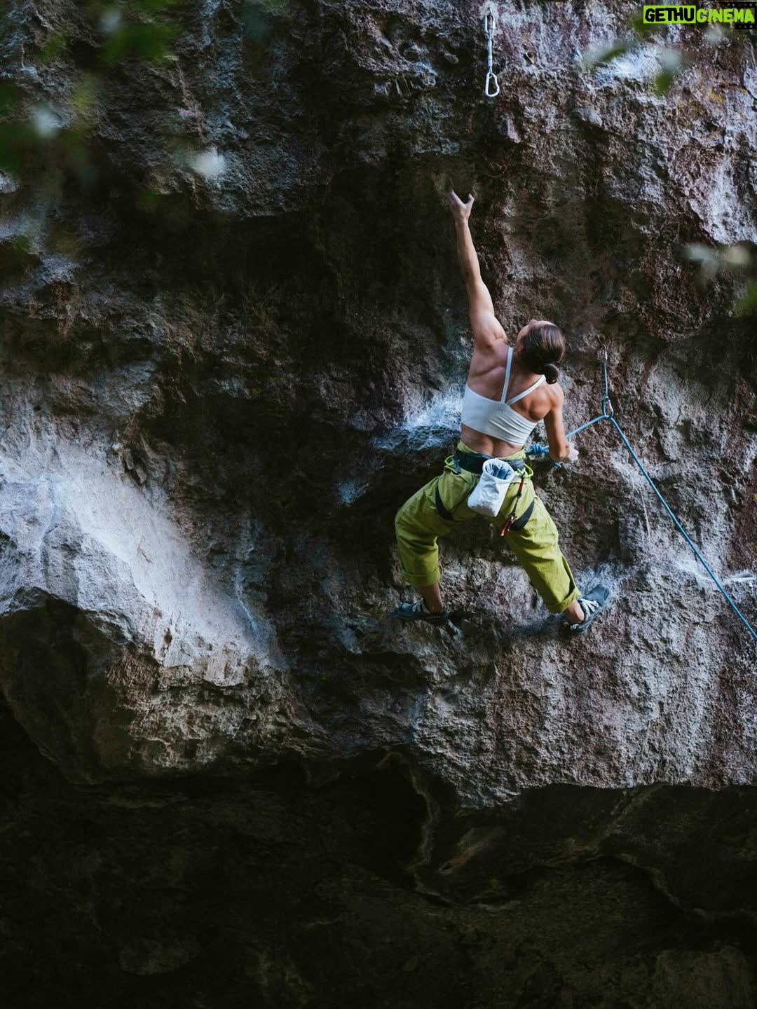 Nina Caprez - 2.4K Likes - @arcteryx is my partner since 16 years. It’s not just a sponsoring, it’s a life share experience.
I was able to attend the @arcteryx climb summit in Mexico. I went with my 10 months old daughter and au paire Alex. I was surrounded by mostly young and hard core climbers. I realized how important my role as a stoke sharer and mentor is.
I climbed as hard as I could after 10 months post partum and it felt great to push. But I also realized how fragile my body still is after 3 pregnancies and 2 births. But climbing today is not just about me; it’s about giving, sharing and transmitting.

A huge thanks to @arcteryx for this amazing crew of humans. 
This climb summit has been one of the greatest ideas of @jonathansiegrist ever had! 💥 

#arcteryx #lovelife 

📸 @bearcam