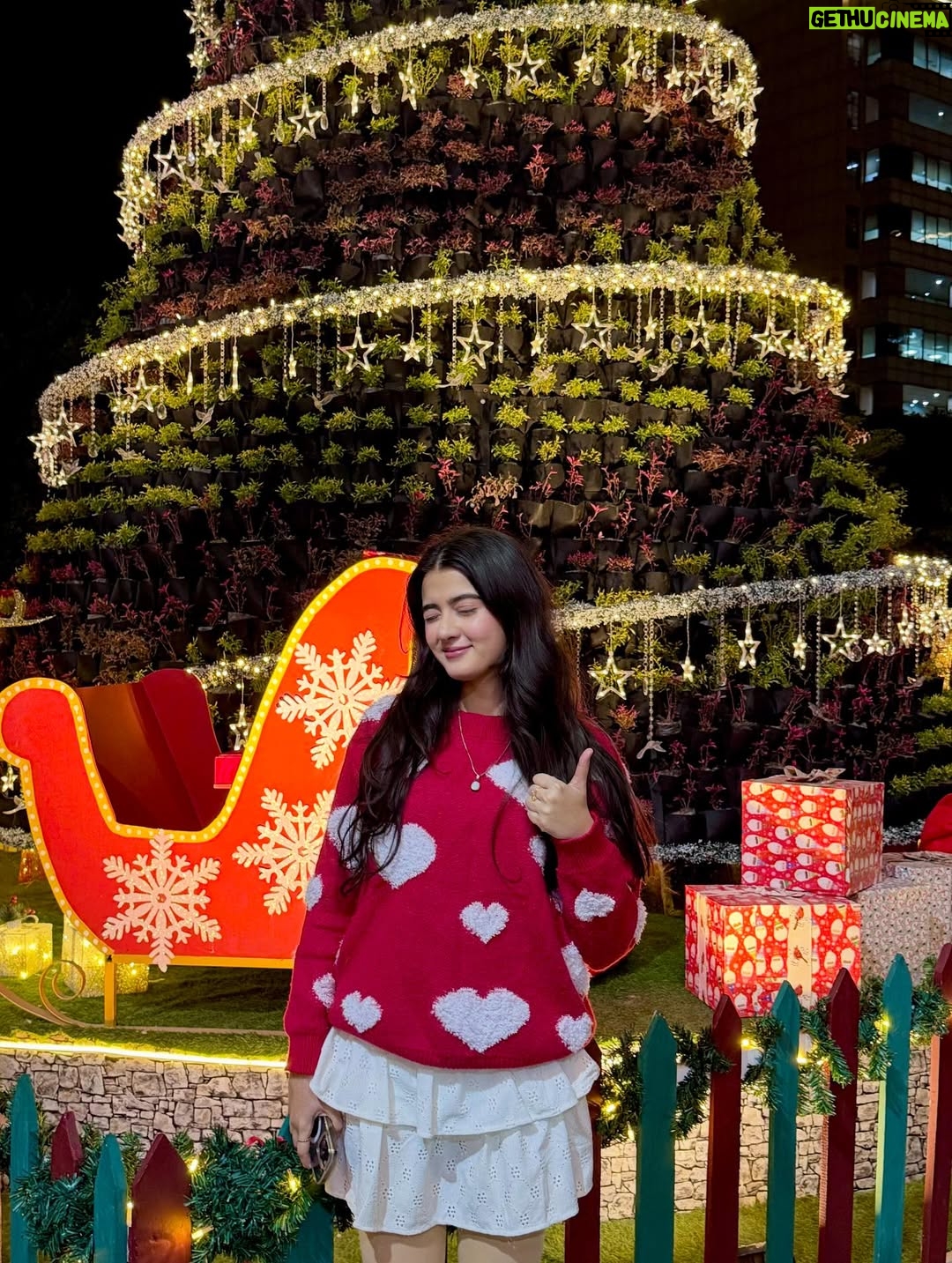 Palak Bharti - 26.3K Likes - When your outfit matches the Christmas mood 🎄