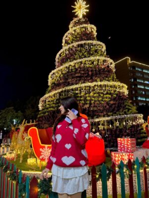 Palak Bharti Instagram - When your outfit matches the Christmas mood 🎄