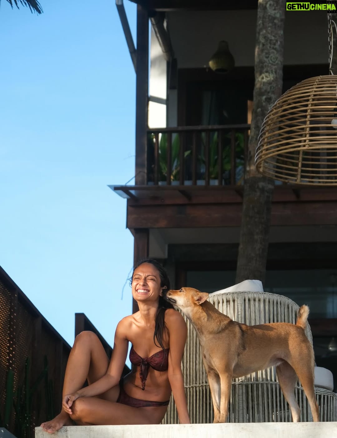 Paloma Monnappa - 4.3K Likes - Sunsets with Poppy at @skinnybeachhouse 🥰
.
.
.
.
.
.
.
#sunset #srilanka #skinnybeach #dog #villa