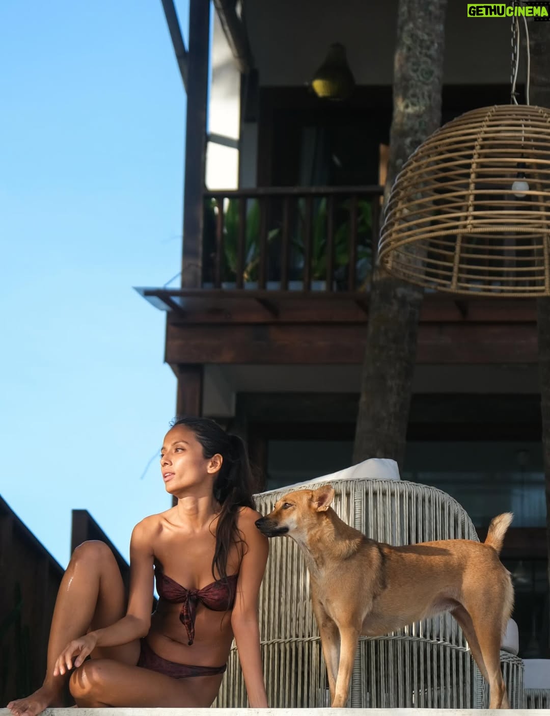 Paloma Monnappa - 4.3K Likes - Sunsets with Poppy at @skinnybeachhouse 🥰
.
.
.
.
.
.
.
#sunset #srilanka #skinnybeach #dog #villa
