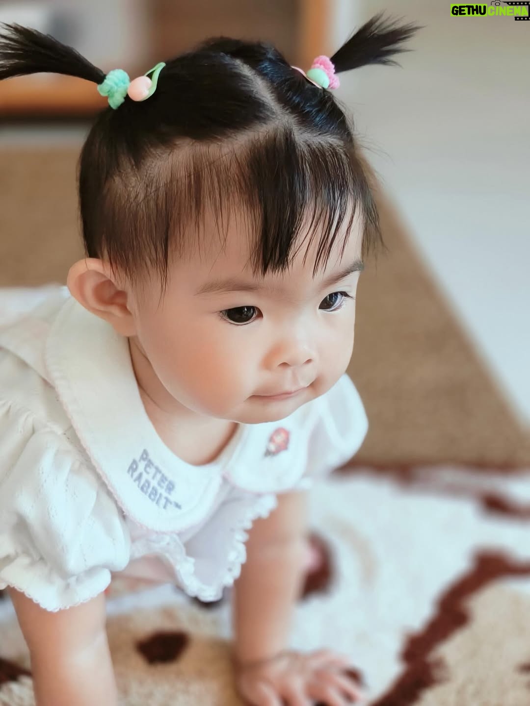 Paowalee Pornpimol - 8K Likes - ต๊ะเอ๋ 🐰🩷 @babylovett_brand 
#เปาวลี #แสนดีลูกเปาวลี