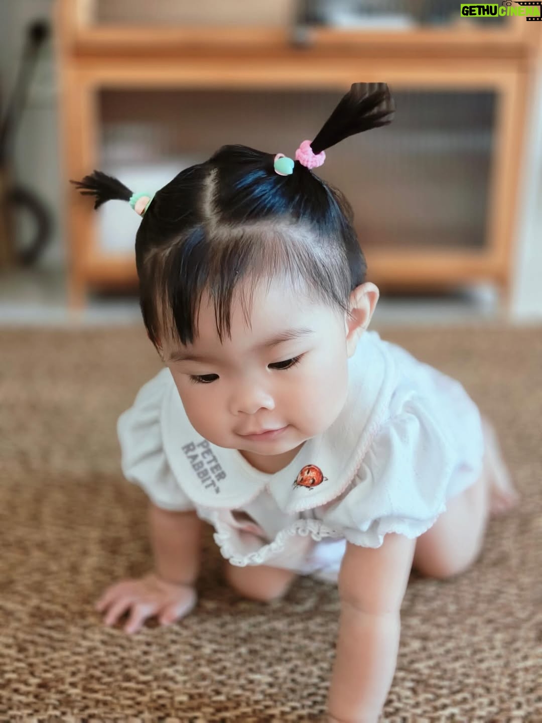 Paowalee Pornpimol - 8K Likes - ต๊ะเอ๋ 🐰🩷 @babylovett_brand 
#เปาวลี #แสนดีลูกเปาวลี
