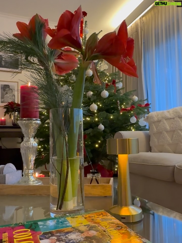 Patricia Kelly - 4.5K Likes - Merry Christmas to you and your loved ones!♥️🎄🌟🎄🎄🎄 #familytime #offline #love #christmaspost