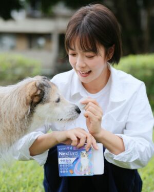 Patty Lee Instagram - 波波在五年前被撿到之初，身上沒有跳蚤、沒有一隻壁蝨，是一隻乾淨溜溜的流浪小狗，實在神奇。還沒經歷蟲蟲危機天真的以為從此就這樣平安度日🫠

某一個夏天，狗公園和河濱成為了我們每天的戀愛行程，在草原奔跑、野餐、看夕陽，實在浪漫！一個月後某日陸續地發現自己腿上、腰間都有不知名癢癢小包，直到親眼目睹跳蚤飛到我的早餐上（沒錯，我的早餐）才發現本波潦草的毛皮上已成了小型蟲蟲野生遊樂場🫠

我原地爆炸！！！準備開戰！！！！

從波波脖子、腋下、該邊一路仔細翻，還被我發現一隻壁蝨，上網查了怎麼去除，小心翼翼的拔掉，泡酒精、洗澡、清潔、吹乾、噴藥後再全身巡一次，那一個晚上我覺得我是全世界最偉大的姊姊（噴汗💦）
他依舊那個傻瓜臉看著我笑，彷彿什麼都不知道一樣 😮‍💨

隔天帶去獸醫檢查他建議波波吞一顆全能狗S可以體外體內除蟲一次搞定，狗狗最怕的心絲蟲也要靠它才能安心。一直到了現在好多年過去了，波波每月固定使用全能狗S，安心、方便、好吃！深信預防勝於治療。
勇敢的毛爸媽們，別等有蟲才後悔！波波提醒，動物用藥品請諮詢獸醫師後使用，更好的是產品盒撕開後有QR CODE可以集點及每個月提醒用藥，對於忙碌如我的主人，實在是救星！祝福全天下的毛毛們都平安歐～

#Super全能毛小孩
#全能狗S
#市面第一內外寄生蟲口服藥
#懷孕哺乳期狗媽媽適用
#內外驅蟲四大防護