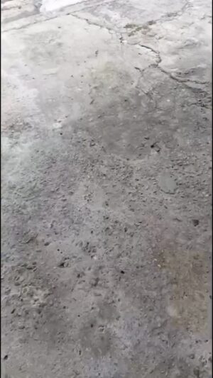 Paula Burlamaqui Instagram - Alguém pode dar um lar temporário ou definitivo para esse anjinho que esta na rua ? Ele é muito dócil, vou deixar o contato aqui para quem puder ajudar 021 98163-9095 jaqueline Peço que vocês compartilhem por favor para que ele tenha uma chance , muito obrigada 🙏♥️
COMPARTILHEM POR FAVOR #ajudeumanimalderua