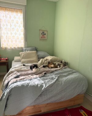 Paula Usero Instagram - La verdad es que de Junio, ya me vais a perdonar, apenas tengo contenido que no sea gatuno. He estado recuperándome, comiendo rico y dejándome cuidar que a veces me cuesta mucho. Estoy deseando este mes de Julio porque voy a hacer algo que me apetecía desde hace mucho🪐🤍