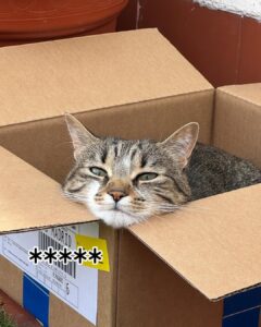 Actress Paula Usero HD Photos and Wallpapers July 2025