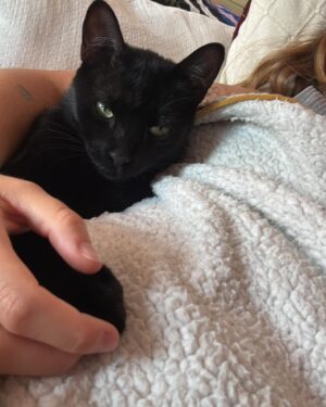 Paula Usero Instagram - La verdad es que de Junio, ya me vais a perdonar, apenas tengo contenido que no sea gatuno. He estado recuperándome, comiendo rico y dejándome cuidar que a veces me cuesta mucho. Estoy deseando este mes de Julio porque voy a hacer algo que me apetecía desde hace mucho🪐🤍