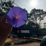 Pavithra Gowda
