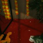 Payal Ray