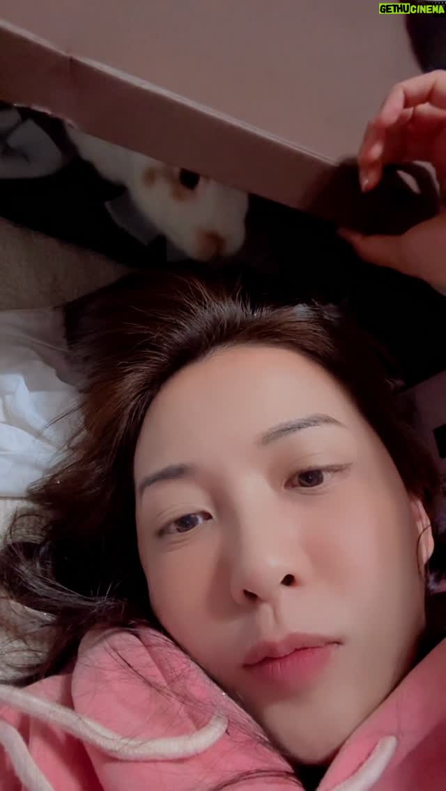 Ho Pei-pei - 1.4K Likes - 地震的時候，我們兩個剛好躺在地上玩
你們呢？！
#earthquakes #daily #bunny #rabbit #love