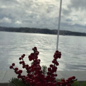 Pelin Sönmez Instagram - 