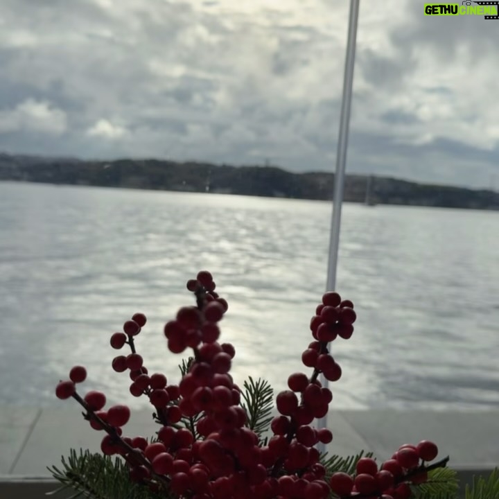 Pelin Sönmez - 5.6K Likes - 