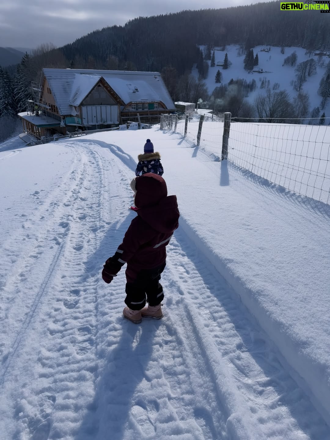 Petra Nesvačilová - 2.8K Likes - Awwww naše Apalucha❤️ 1 chalupa, 11 dětí, 12 dospělých a zasněžené hory #krkonose krása krás!