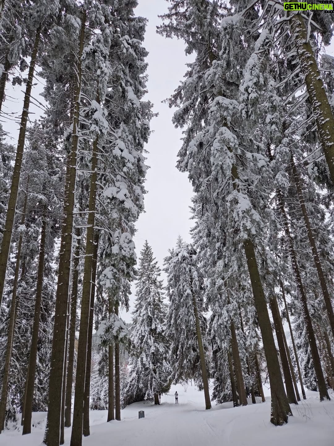 Petra Nesvačilová - 2.8K Likes - Awwww naše Apalucha❤️ 1 chalupa, 11 dětí, 12 dospělých a zasněžené hory #krkonose krása krás!