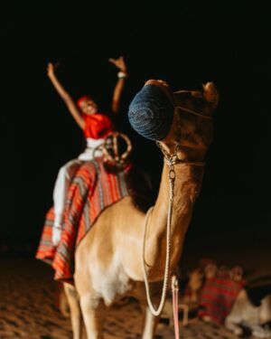 Phina Instagram - Soft life, desert edition🤗✨🐫🐪…
@platinumheritage 

#visitdubai #platinumheritagedubai #phinawashere

📸 @innostuart